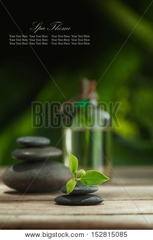 close up view of gray stones and leaf on color back.