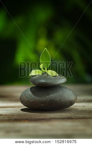 close up view of gray stones and leaf on color back.