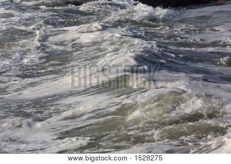 海
