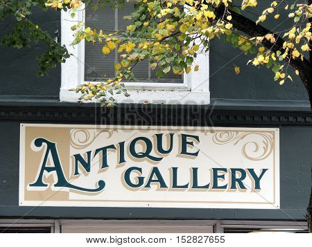 "Antique Gallery" sign under a window with fall leaves in an historic town