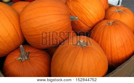 Squashs In A Market, Montreal, Quebec, Canada