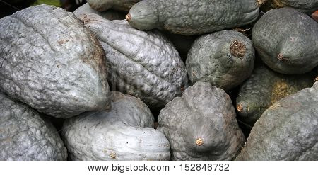 Squashs In A Market, Montreal, Quebec, Canada