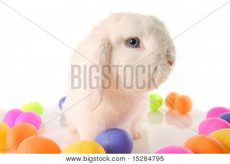 Lapin de Pâques entouré d'oeufs de Pâques.