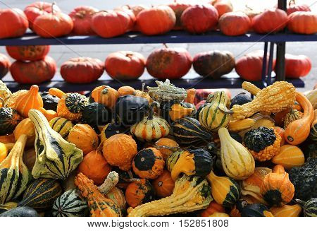 Squashs In A Market, Montreal, Quebec, Canada