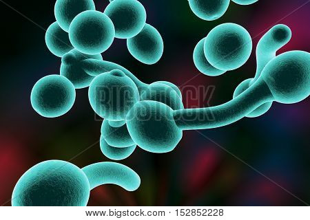 3D illustration of fungi Candida albicans which cause candidiasis, thrush, on colorful background. Pathological fungus or yeast