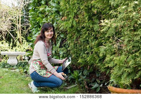 middle aged woman works in garden holds tablett pc