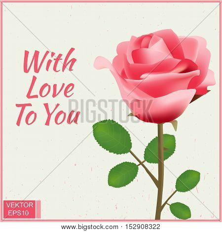 Realistic flower rose. For wedding cards. Festive. Valentine's Day Greetings. For your design.