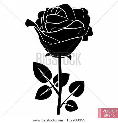 Rose flower. Silhouette. Black contour on white background. For your design.