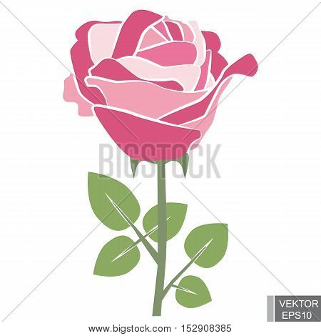 Beautiful pink flower isolated on white background. For your design.