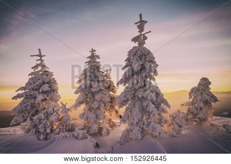 Fantastic orange evening landscape glowing by sunlight. Dramatic wintry scene with snowy trees. Kukul ridge, Carpathians, Ukraine, Europe. Merry Christmas! Toned like Instagram filter