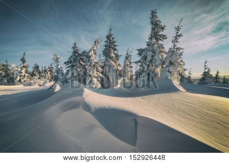Fantastic orange evening landscape glowing by sunlight. Dramatic wintry scene with snowy trees. Kukul ridge, Carpathians, Ukraine, Europe. Merry Christmas! Toned like Instagram filter