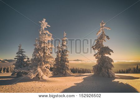 Fantastic orange evening landscape glowing by sunlight. Dramatic wintry scene with snowy trees. Kukul ridge, Carpathians, Ukraine, Europe. Merry Christmas! Toned like Instagram filter