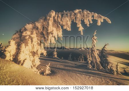 Fantastic orange evening landscape glowing by sunlight. Dramatic wintry scene with snowy trees. Kukul ridge, Carpathians, Ukraine, Europe. Merry Christmas! Toned like Instagram filter