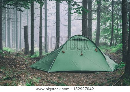 green tent on forest closeup, toned like Instagram filter