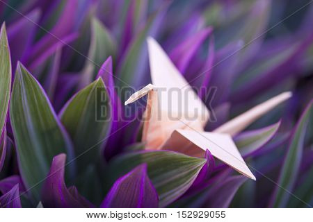 Origami Paper Crane In Colorful Foliage