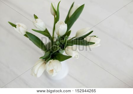 White tulips in a vase on a white background. Spring background. Spring mood. White flowers in a vase.