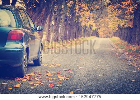 Car on asphalt road on autumnr day at park