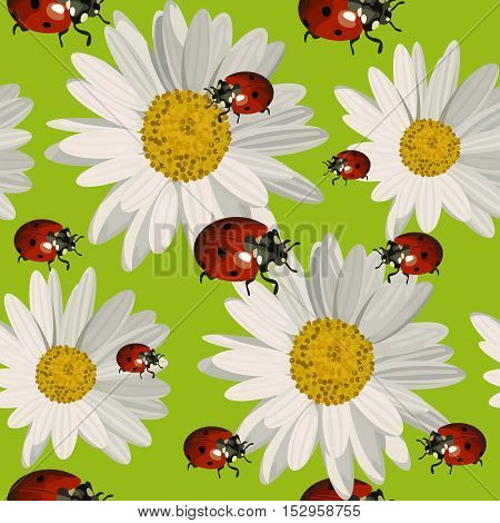 Seamless pattern with white daisies and ladybugs on green background. Vector illustration.