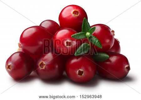Pile Of Cranberries With Leaves, Paths