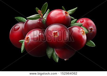 Cranberry Composition, Clipping Paths