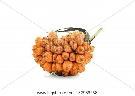 Wintergreen fruit on a white background .