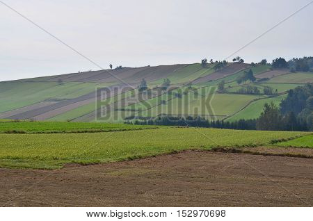 view of autumn landscape Niederösterreich Province in northeast Austria