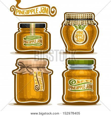 Vector logo Pineapple Jam in glass Jars with paper cover lid, Pot home made pineapple jams, twine rope bow, set homemade fruit jam jar, farm jelly pot with label, checkered cloth cap isolated on white