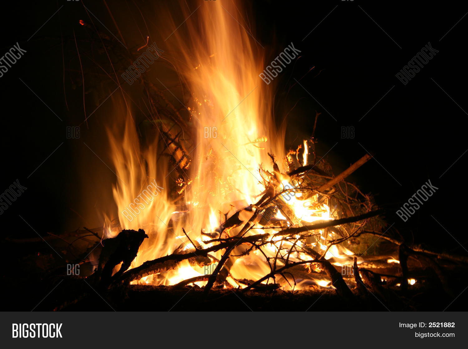 Image Preview