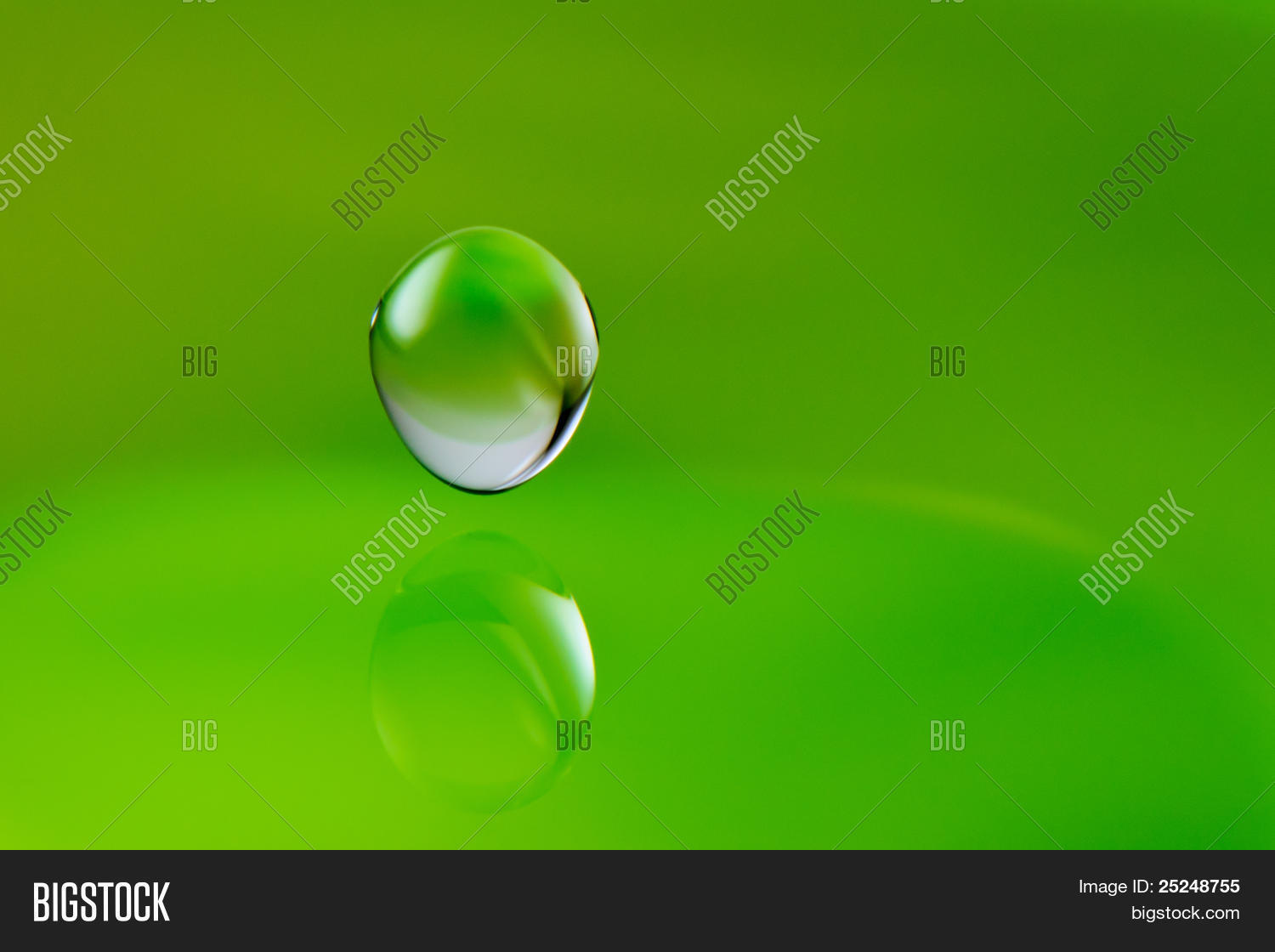 Image Preview