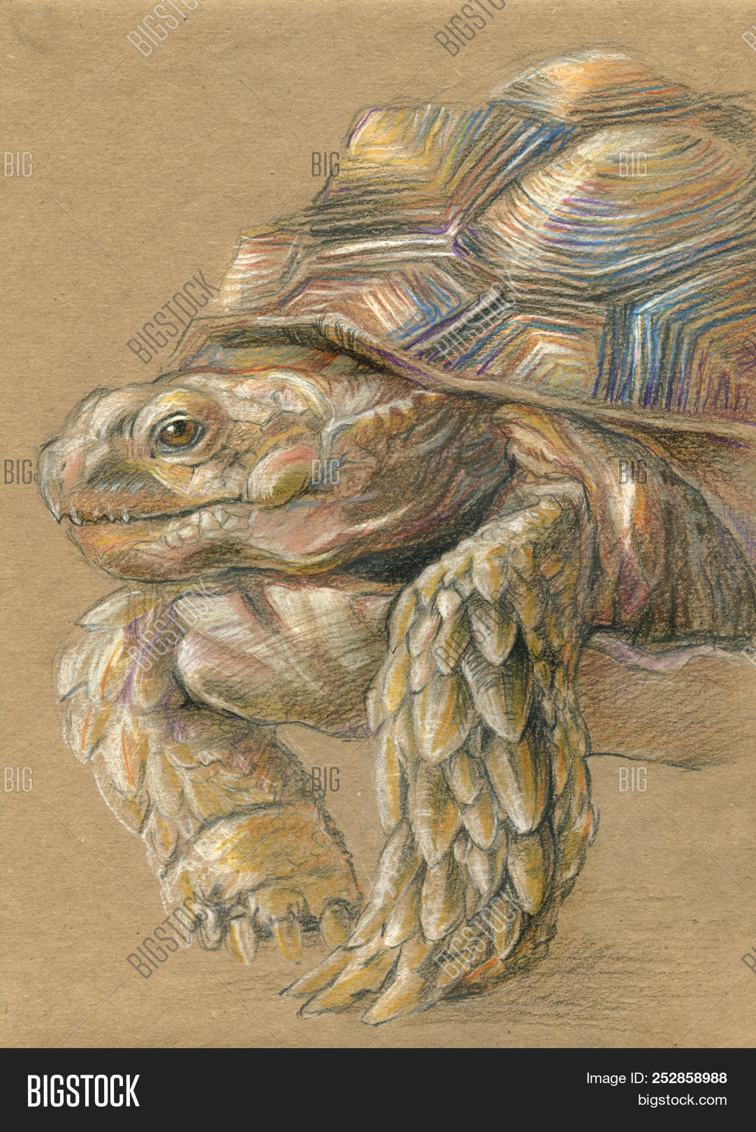 Top 124+ sketches on brown paper