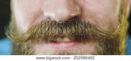 Smile With Mustache Close Up. Part Of The Face Of A Bearded Man
