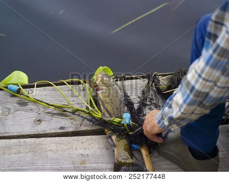 A Fisherman With His Trophy In Net, Outside Cropped Shot