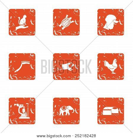 Instinctive Icons Set, Grunge Style For Any Design