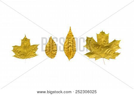 Autumn Metallic Gold Copper Leaves Set Isolated On White. Different Fall Metallic Paint Leaves Kit O