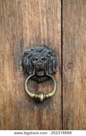 Lions Head Door Knocker On An Unvarnished Light Wooden Door