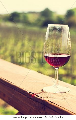 Glasses With Wine Red. Tasting Wine In The Vineyard.