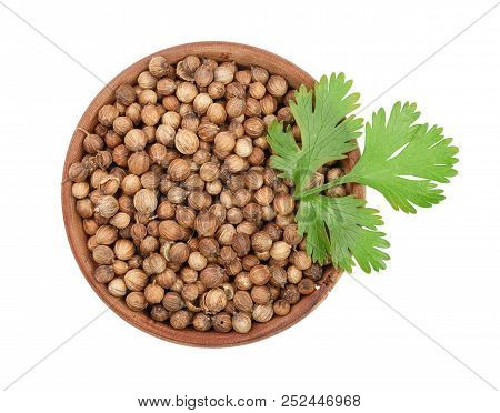 Coriander Seed And Leaves In Wooden Bowl Isolated On White Background. Top View. Flat Lay Pattern
