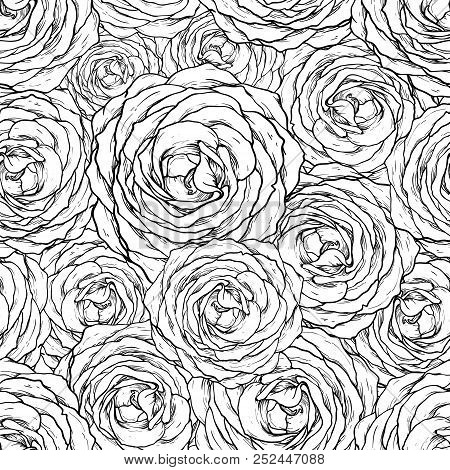 Rose Seamless Pattern. Floran Background, Black And White
