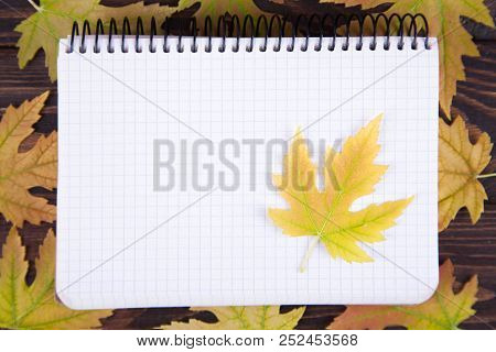 Yellow Fallen Maple Leaf Lies On A Notepad