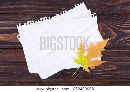 Yellow Fallen Maple Leaf Lies On A Notepad