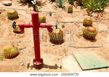 Red Fire Hydrant, A Tap For Water Supply Watering Dry Plants In The Desert With Mexican Spiny Sharp 