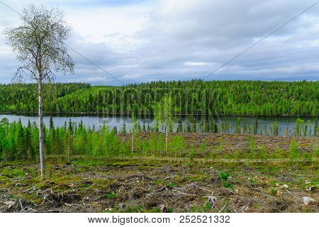 Landscape Of The Kuntijarvi Lake, Near Kuusamo, Finland