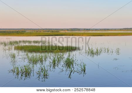 Wetland Lake Sestroretsky Razliv At Sunset In Saint Petersburg, Russia.