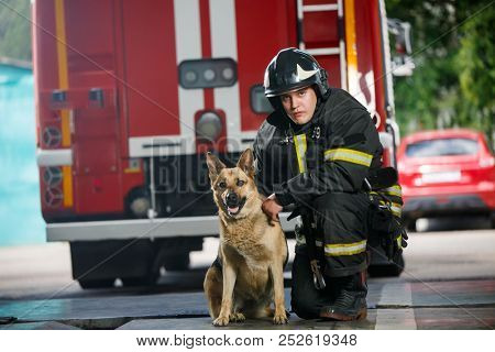 Photo of one fireman squatting next to service dog near fire engine