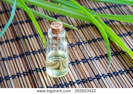 A Bottle Of Essential Oil With Fresh Lemon Grass
