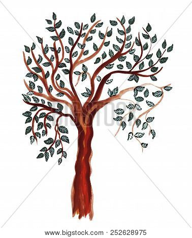 Hand Drawing Of A Tree With A Branching Crown Falls Off And Leaves Traced