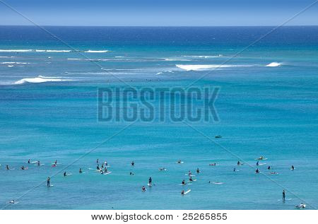 Surfere Tropical Beach Paradise