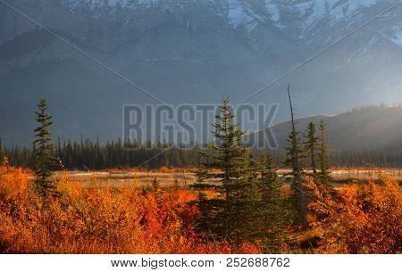 Talbot lake landscape in Jasper national park, Canada