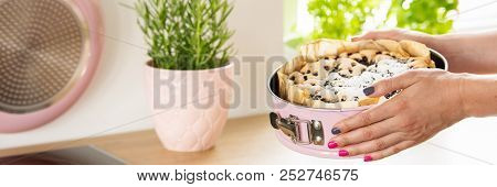 Close-up Of Woman's Hands Holding A Springform Pan With Homemade Cake And Herbs In A Pastel Pink Pot