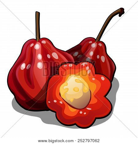 Set Of Whole And Half Of Ripe Rose Apples Fruit Or Chomphu. Element Of A Healthy Diet. Delicious And